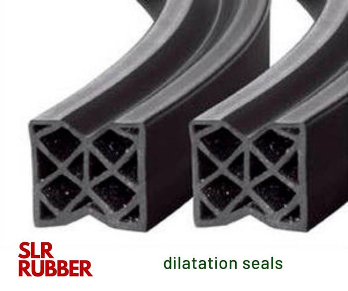 Dilation Gaskets and Seals